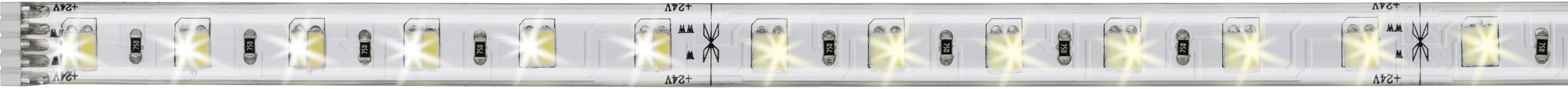 Paulmann MaxLED Tunable White 70629 LED-Streifen-Erweiterung mit Stecker 24 V 0.5 m Warmweiß, Neutralweiß, Tageslichtweiß 1 St.