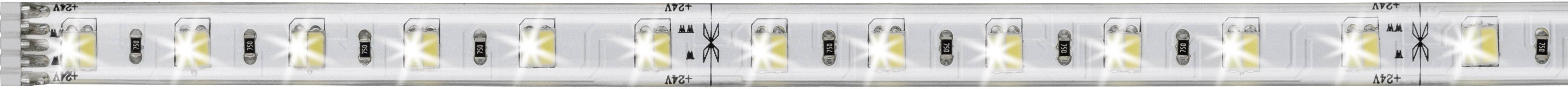 Paulmann MaxLED Tunable White 70629 LED-Streifen-Erweiterung mit Stecker 24 V 0.5 m Warmweiß, Neutralweiß, Tageslichtweiß 1 St.