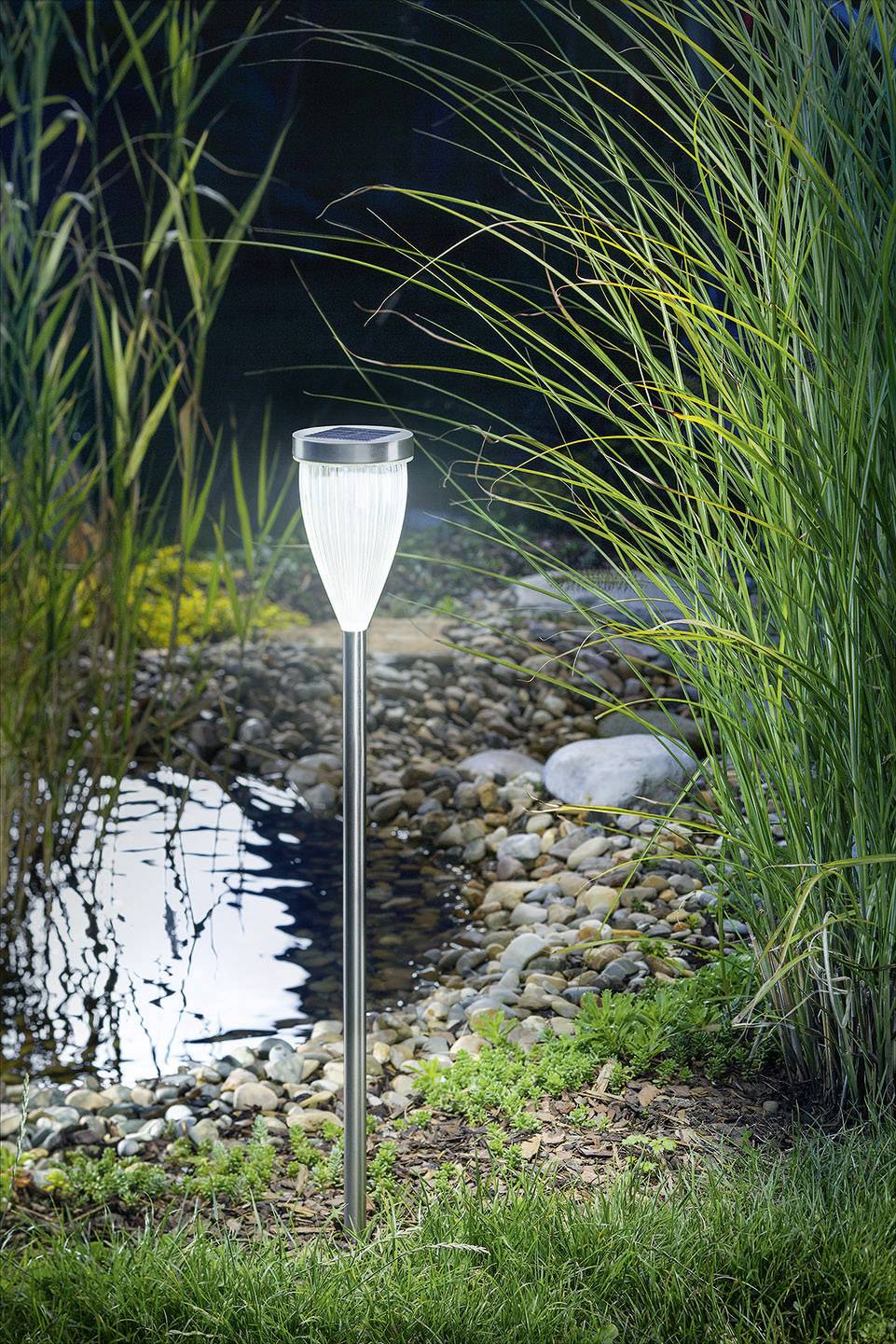 Esotec 102605 Dream Light Außen-Dekobeleuchtung LED LED fest eingebaut Edelstahl