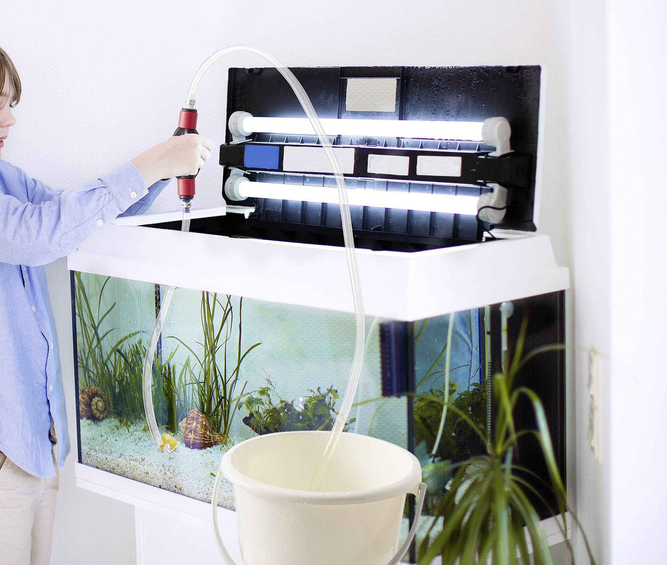 Eine Person reinigt ein Aquarium mit einem Schlauch, Wasser fließt in einen Eimer. Pflanzen und Dekorationen sind im Aquarium sichtbar.