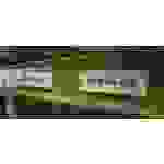 Franken C114 Etikettenrahmen (B x H) 50mm x 10mm Magnetfolie magnetisch Transparent 20St.