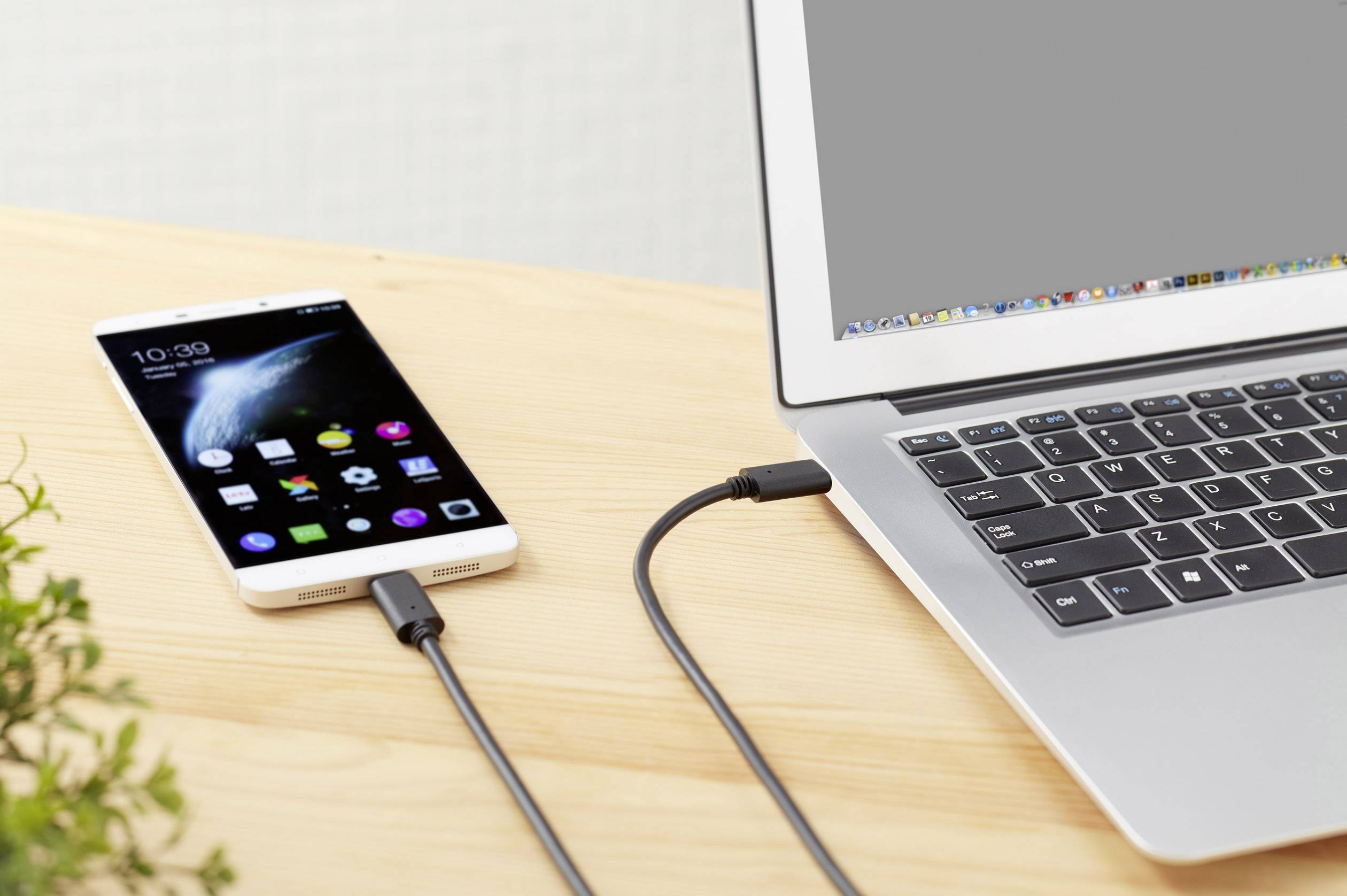 Renkforce USB-Kabel USB 3.2 Gen2x2 USB-C® Stecker, USB-C® Stecker 0.50m Schwarz vergoldete Steckkontakte RF-4381068