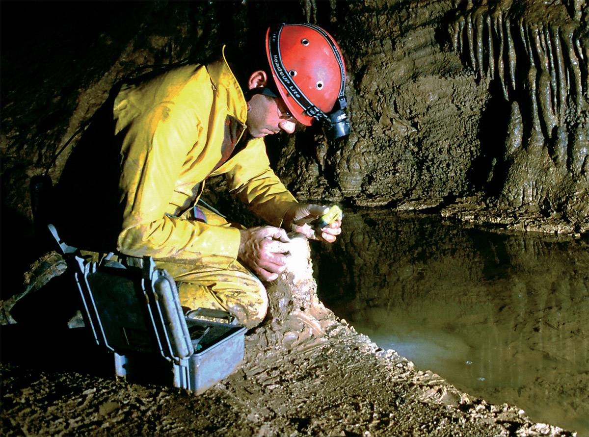 PELI Outdoor Koffer 1150 3l (B x H x T) 240 x 109 x 198mm Schwarz 1150-000-110E