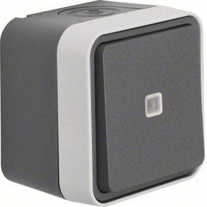 Berker Wechselschalter Aufputz W.1 Grau, Lichtgrau 30763525 1St.