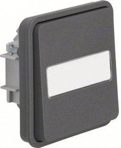 Berker Wechselschalter Aufputz W.1 Grau, Lichtgrau 30763555 1 St.