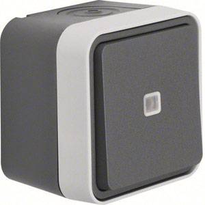 Berker Kontrollschalter, Wechselschalter Aufputz W.1 Grau, Lichtgrau 31763505 1 St.