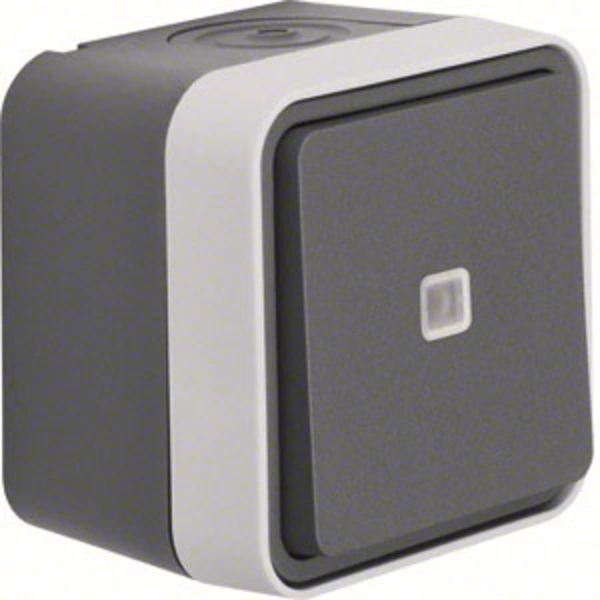 Berker Kontrollschalter, Wechselschalter Aufputz W.1 Grau, Lichtgrau 31763505 1St. Berker Kontrollschalter, Wechselschalter Aufputz W.1 Grau, Lichtgrau 31763505 1St.