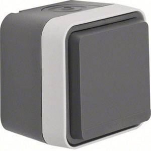 Berker Schutzkontakt-Steckdose mit Klappdeckel Aufputz W.1 Grau, Lichtgrau 47633505 1St.