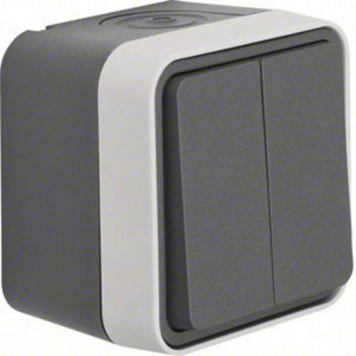 Berker Serientaster Aufputz W.1 Grau, Lichtgrau 50753515 1 St.