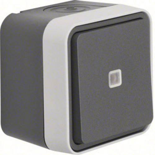 Berker Taster Aufputz W.1 Grau, Lichtgrau 50763505 1St.