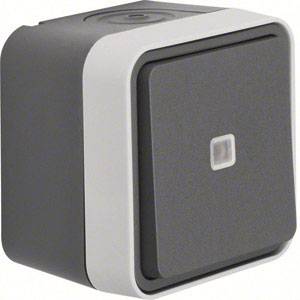 Berker Taster Aufputz W.1 Grau, Lichtgrau 50763505 1 St.