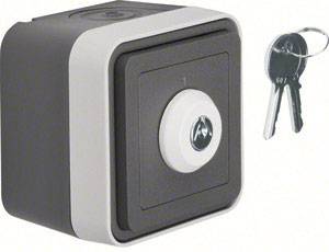 Berker Schlüsselschalter Aufputz W.1 Grau, Lichtgrau 32713505 1 St.