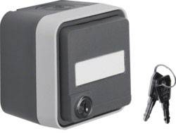 Berker Schutzkontakt-Steckdose abschließbar Aufputz W.1 Grau, Lichtgrau 47393505 1St.