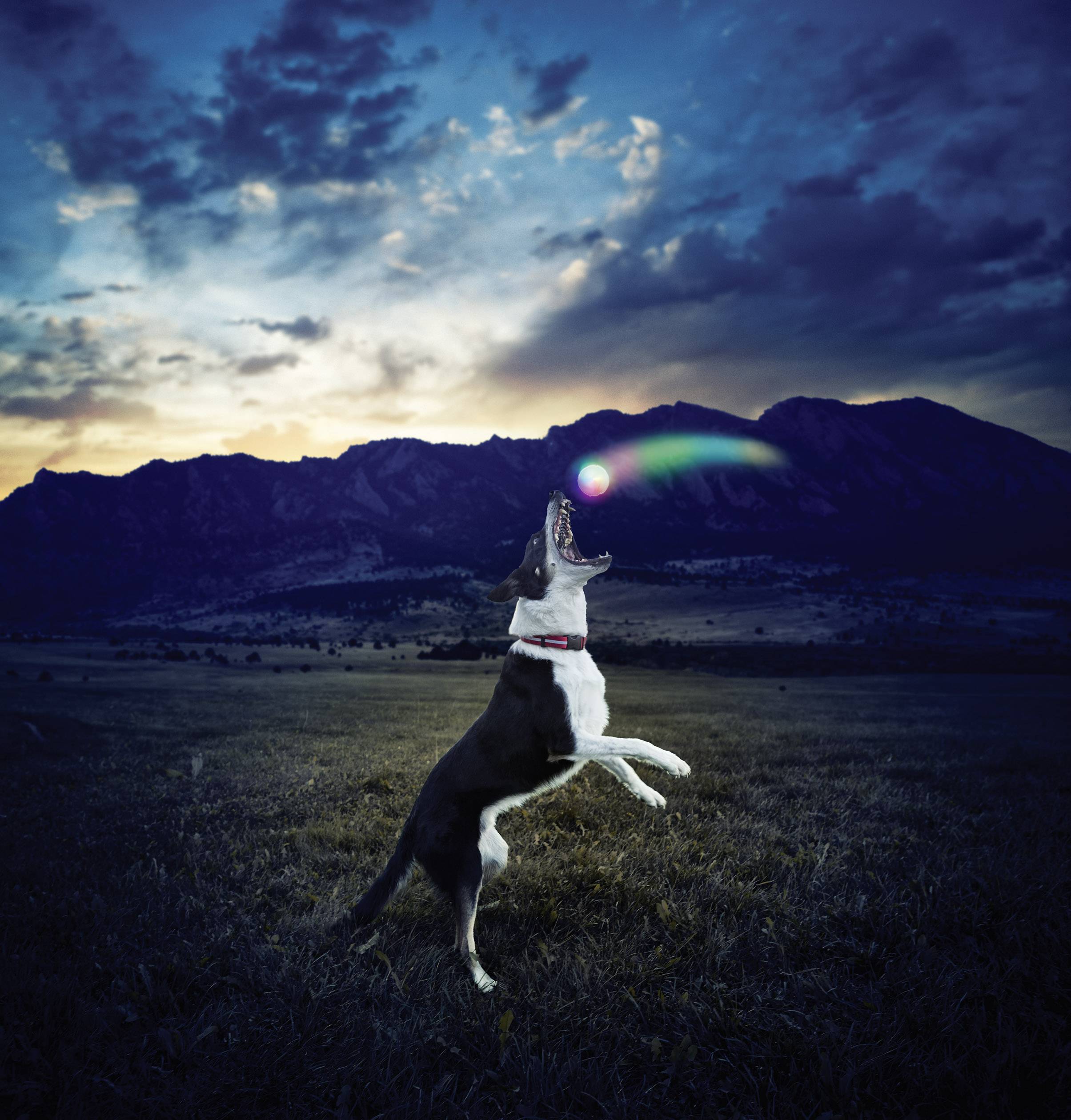 NITE Ize GlowStreak LED Wurfball Transparent 1St.