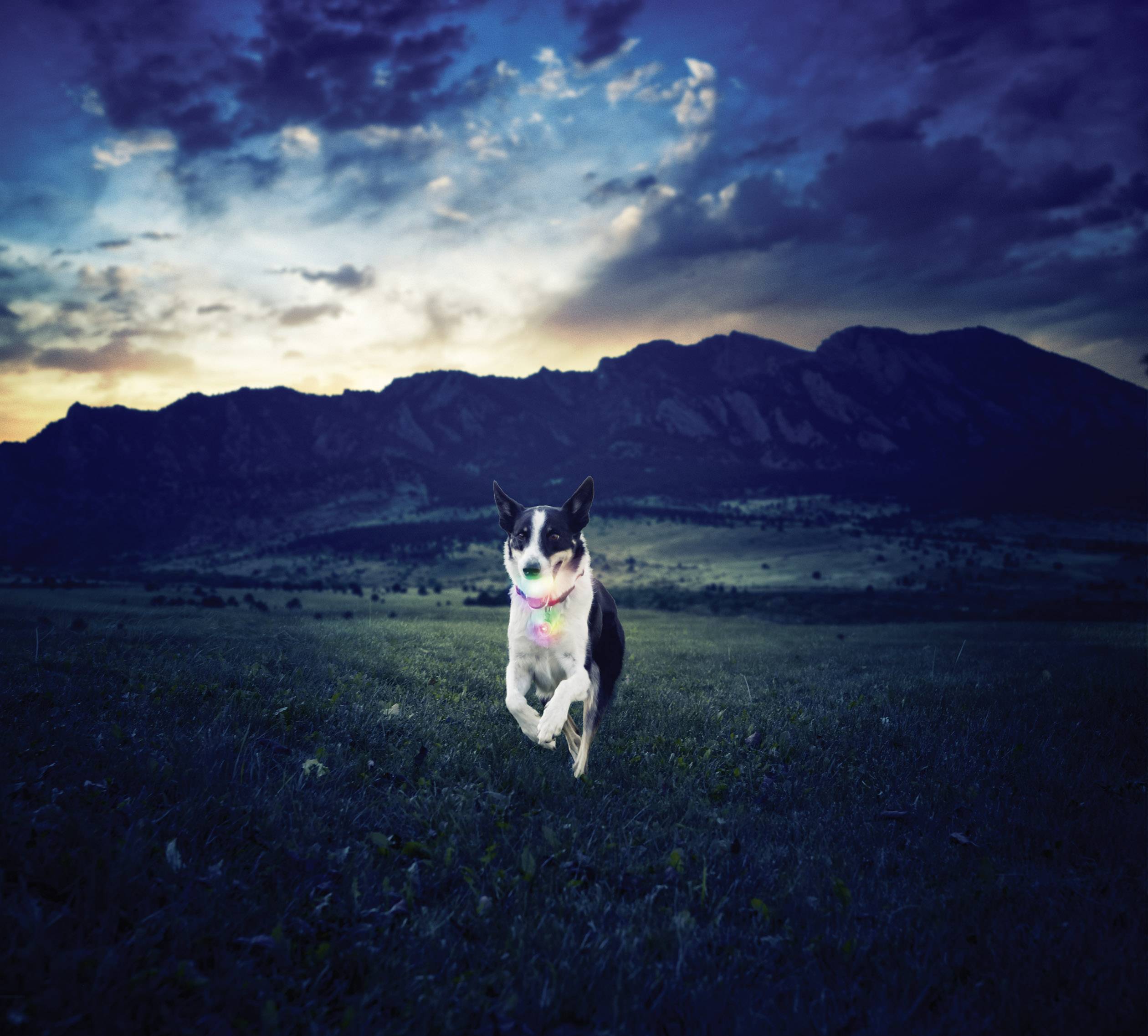 NITE Ize GlowStreak LED Wurfball Transparent 1 St.