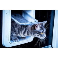 SureFlap Mikrochip Cat door Katzenklappe Braun 1 St. SureFlap Mikrochip Cat door Katzenklappe Braun 1 St.