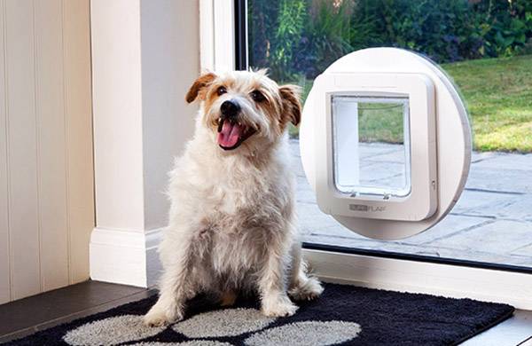 SureFlap Mikrochip Pet door Haustierklappe Braun 1St.
