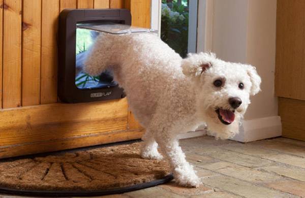 SureFlap Mikrochip Pet door Haustierklappe Braun 1St.