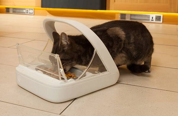Eine Katze frisst aus einem automatischen Futterspender auf einem gefliesten Boden in einer häuslichen Umgebung.