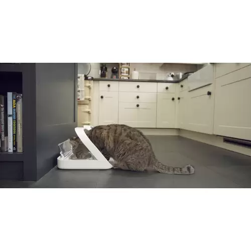 SureFeed Futterautomat Mikrochip chucker 400ml Hund, Katze Wei Steuerung ber Chip oder RFID-Anhnger, Automatisch schlieender SureFeed Futterautomat Mikrochip chucker 400ml Hund, Katze Wei Steuerung ber Chip oder RFID-Anhnger, Automatisch schlieender