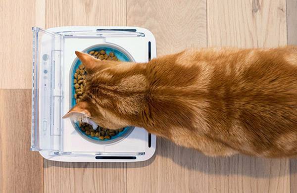 SureFeed Futterschale feeding dish 400ml Hund, Katze Weiß mit Bewegungsmelder, für Nass- und Trockenfutter, luftdicht 1 St. SPBWT