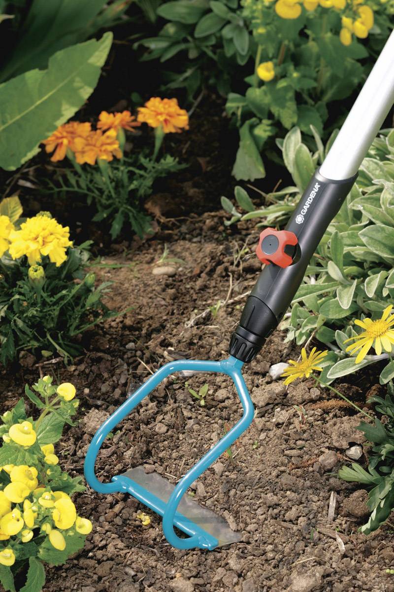 Eine Gartenhacke bearbeitet den Boden zwischen blühenden gelben und orangen Blumen.