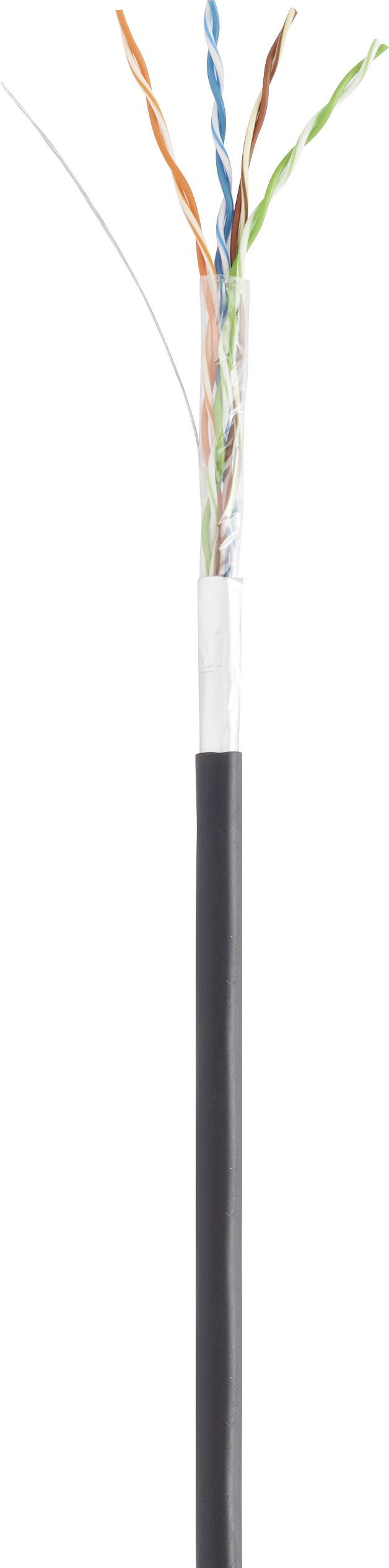 Renkforce RF-4394121 RJ45 Netzwerkkabel, Patchkabel CAT 5e F/UTP 1.00m Schwarz Verlängerungskabel mit Rastnasenschutz, vergoldete