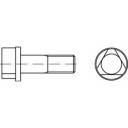 TOOLCRAFT 147116 Dreikantschrauben M8 25mm Dreikant DIN 22424 Stahl 100St.