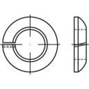 TOOLCRAFT 147239 Federring Innen-Durchmesser: 20.5mm DIN 74361 Federstahl galvanisch verzinkt 100St.