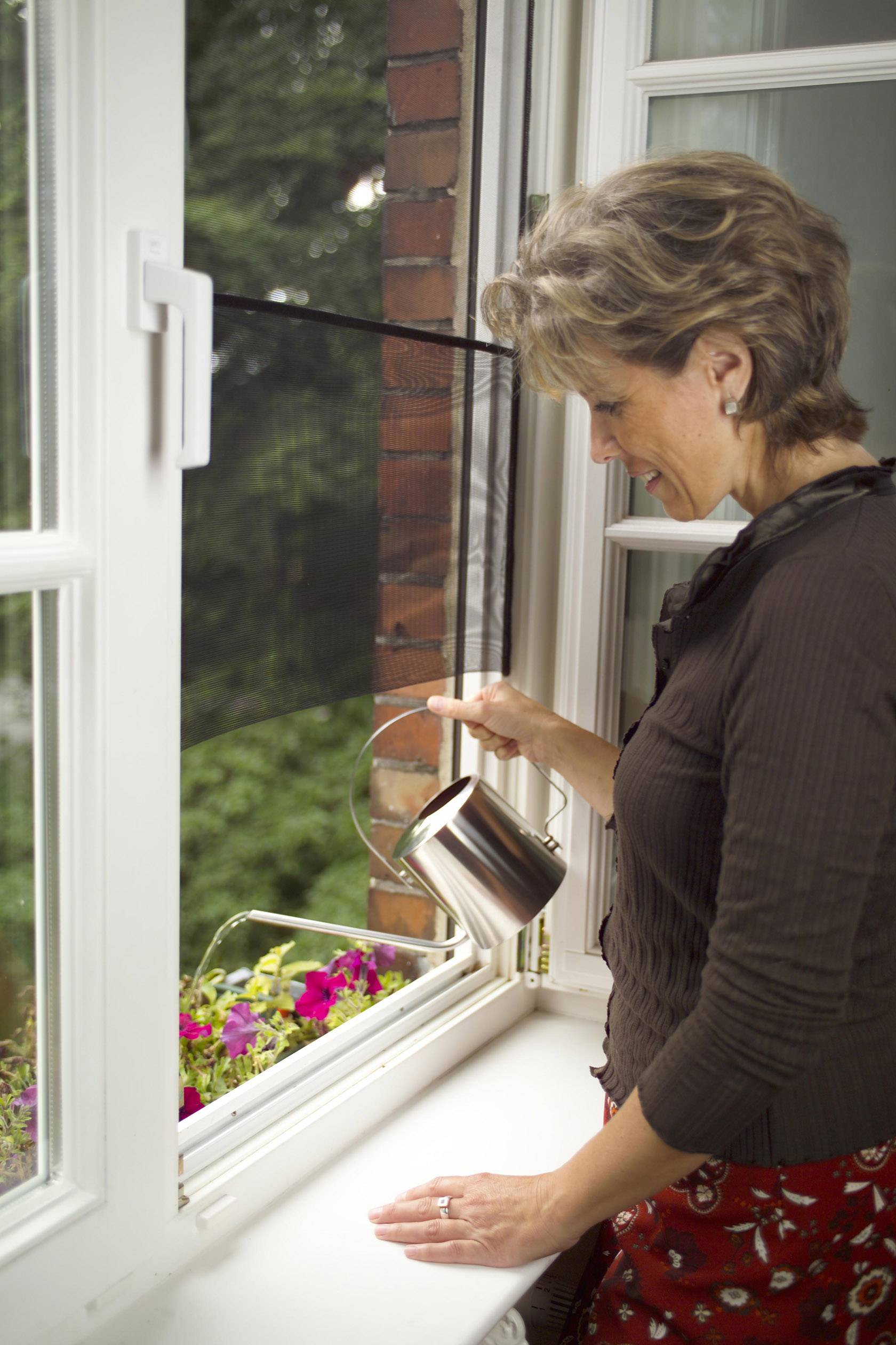 TESA COMFORT 55033-00021-00 Fliegengitter (B x H) 1500mm x 1300mm Anthrazit 1St.