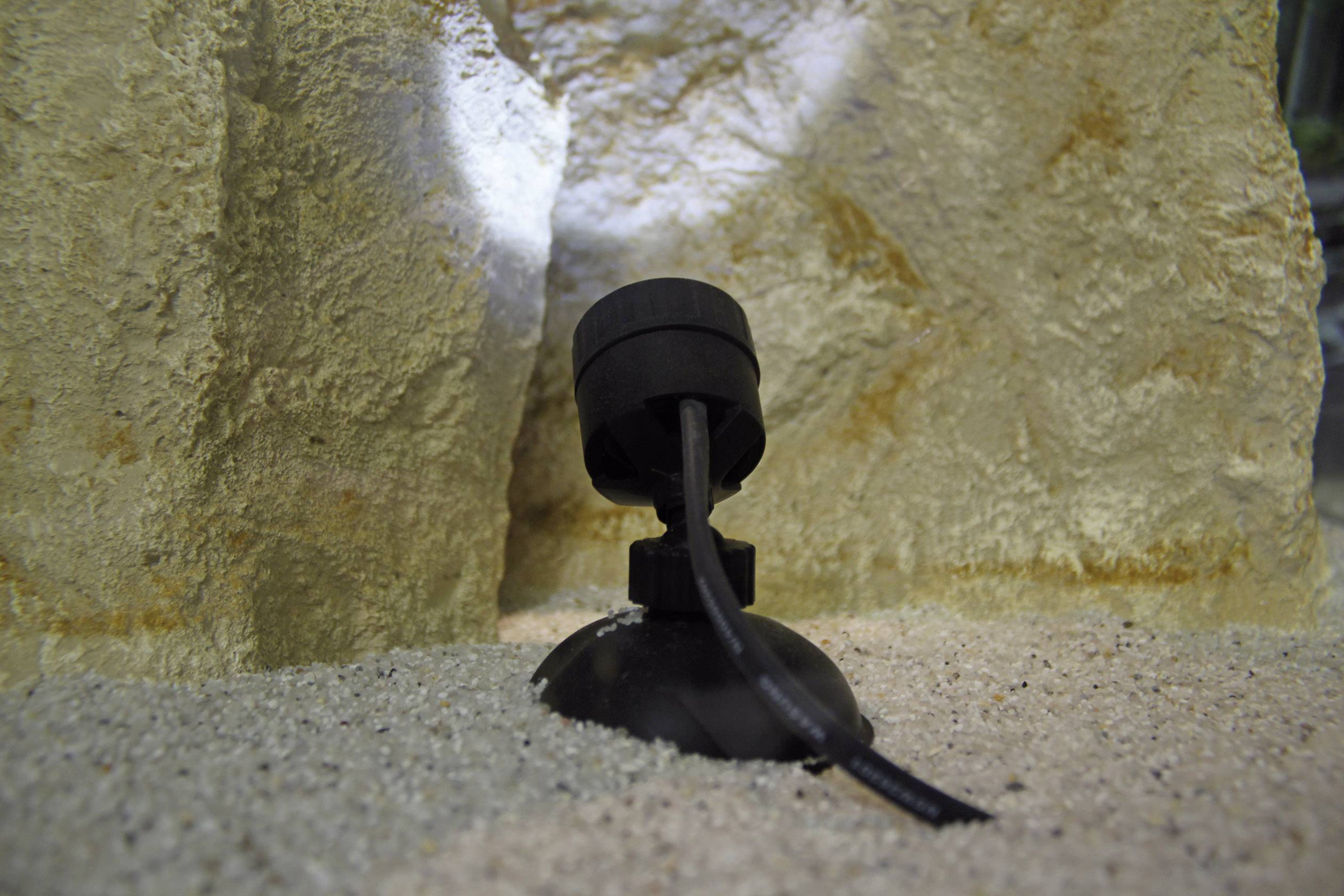 Pontec 43187 Unterwasserbeleuchtung LED 0.5W Schwarz