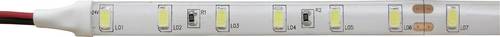 51511428 51511428 LED-Streifen mit offenem Kabelende 24V 5m
