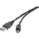 Renkforce USB-Kabel USB 2.0 USB-A Stecker, USB-Mini-B Stecker 0.15m Schwarz vergoldete Steckkontakte RF-4455804
