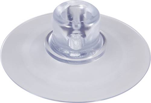Kash Saugnapf 1.1.2050L Klar, Transparent