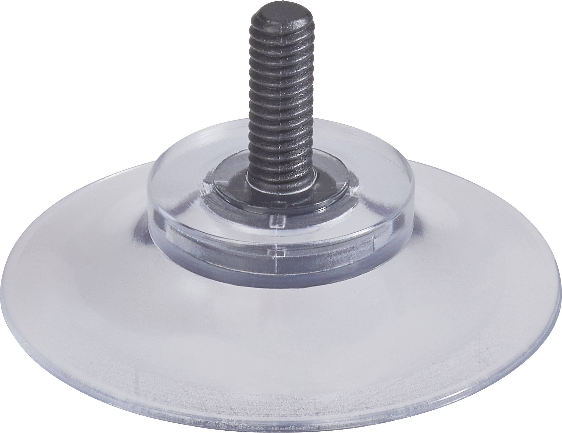 Kash Saugnapf 1.1.3010 Klar, Transparent