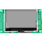 Taskit LCD-Display Schwarz Hellgrün 128 x 64 Pixel (B x H x T) 74.4 x 6.8 x 43.2mm LCD_Term25