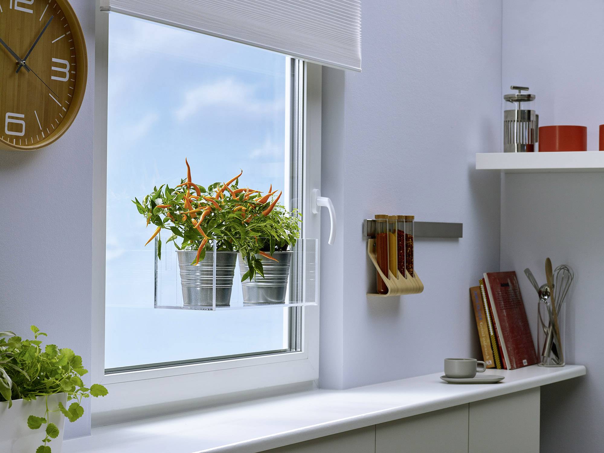 Ein Fensterbrett mit Kräutern und Chilipflanzen in Töpfen, strahlend blauer Himmel draußen. In der Küche sind Gewürze und Kochbücher.