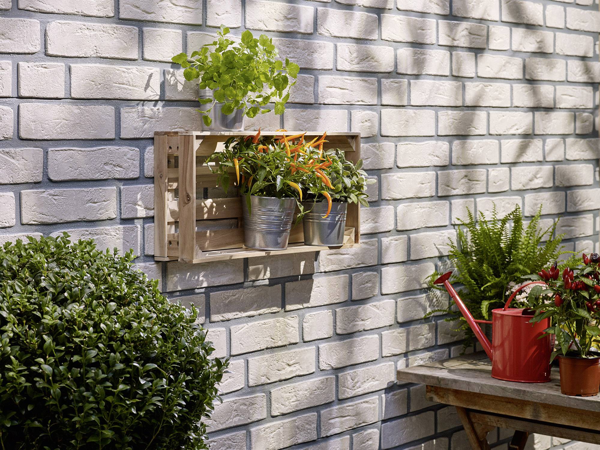 TESA 77905 Klebeschraube viereckig (L x B) 23mm x 16mm Beige Inhalt: 2St.