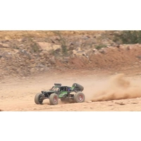 Amewi Desert Eagle-2 Brushed 1:12 RC Modellauto Elektro Buggy Allradantrieb (4WD) RtR 2,4GHz Amewi Desert Eagle-2 Brushed 1:12 RC Modellauto Elektro Buggy Allradantrieb (4WD) RtR 2,4GHz