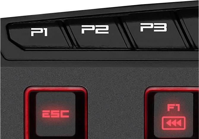 Sharkoon Skiller PRO+ USB Gaming-Tastatur Beleuchtet, Handballenauflage Deutsch, QWERTZ, Windows® Schwarz