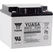 Yuasa REC50-12 YUAREC5012 Bleiakku 12V 50Ah Blei-Vlies (AGM) (B x H x T) 197 x 175 x 165mm M5-Schraubanschluss Geringe Yuasa REC50-12 YUAREC5012 Bleiakku 12V 50Ah Blei-Vlies (AGM) (B x H x T) 197 x 175 x 165mm M5-Schraubanschluss Geringe