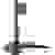 Digitus DA-90346 simple Support sur pied pour écran 38,1 cm (15") - 68,6 cm (27") noir réglable en hauteur, inclinable, mobile
