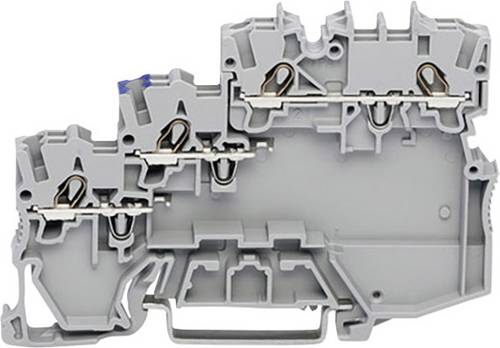 WAGO 2000-5310/102-000 Aktorenklemme 7 mm Zugfeder Grau 50 St.