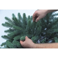 Xenotec PE-BO210 Künstlicher Weihnachtsbaum Tanne Grün mit Ständer 210cm Xenotec PE-BO210 Künstlicher Weihnachtsbaum Tanne Grün mit Ständer 210cm