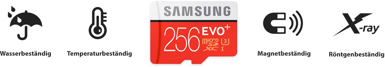 Samsung EVO Plus microSDXC-Karte 256 GB Class 10, UHS-I