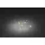 Konstsmide 1460-160 Micro-Lichterkette Innen batteriebetrieben Anzahl Leuchtmittel 20 LED Warmweiß Beleuchtete Länge: 1.9m Konstsmide 1460-160 Micro-Lichterkette Innen batteriebetrieben Anzahl Leuchtmittel 20 LED Warmweiß Beleuchtete Länge: 1.9m