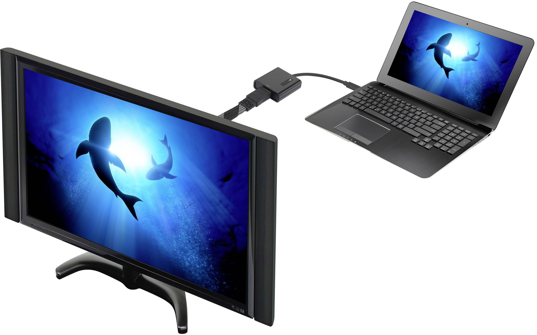 Ein Laptop ist mit einem externen Monitor verbunden, der zwei Delfine im blauen Ozean zeigt.