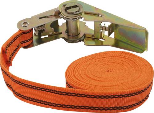 Petex 43192635 Einteiliger Spanngurt Zugkraft LC Niederzurren (einzeln/direkt)=125 daN (L x B) 5 m
