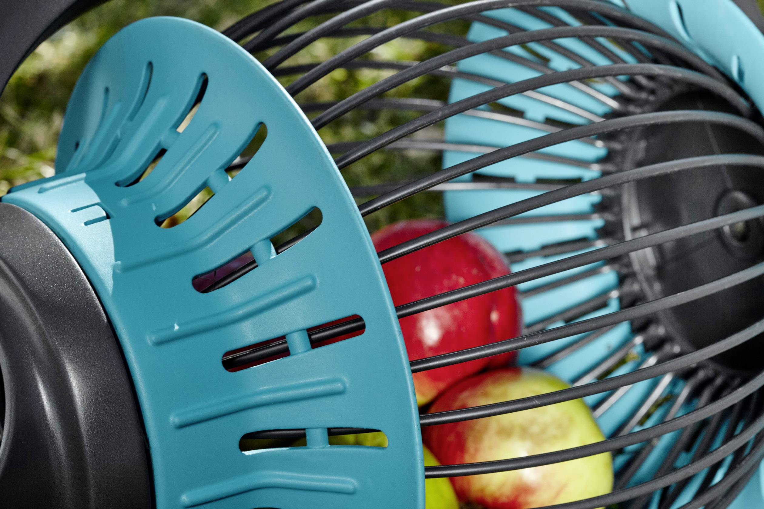 Ein Gartenwerkzeug mit blauen Kunststoffstreben hält rote und gelbe Äpfel. Es ist zum Sammeln und Tragen von Obst gedacht.