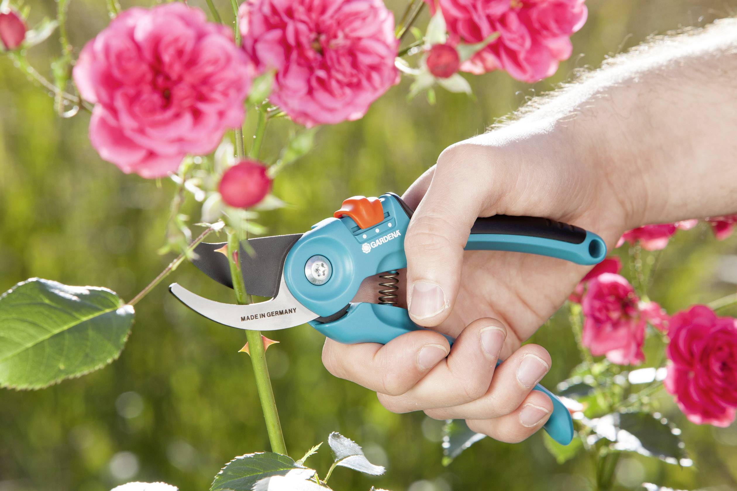 GARDENA 08857-20 B/S-M Gartenschere Bypass